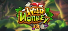 Wild Monkey